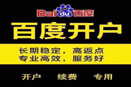 百度推广效果监测与持续优化的真实案例